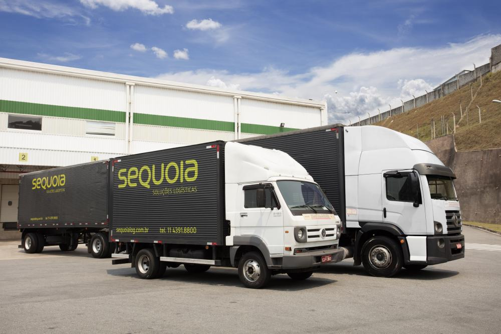 Sequoia, que subiu 120% desde IPO, fecha compra de empresa de e-commerce -  Seu Dinheiro