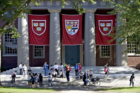 Como se inscrever nos cursos gratuitos de Harvard? Passo a passo